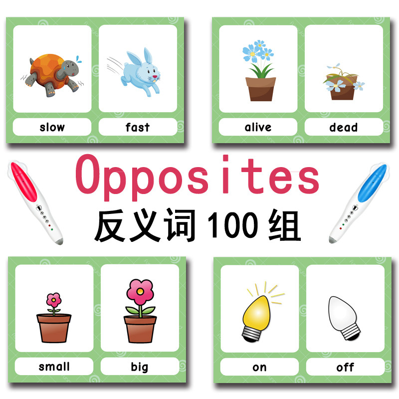 Tarjetas de memoria con 100 gr - Kids Education Card reseña y precio