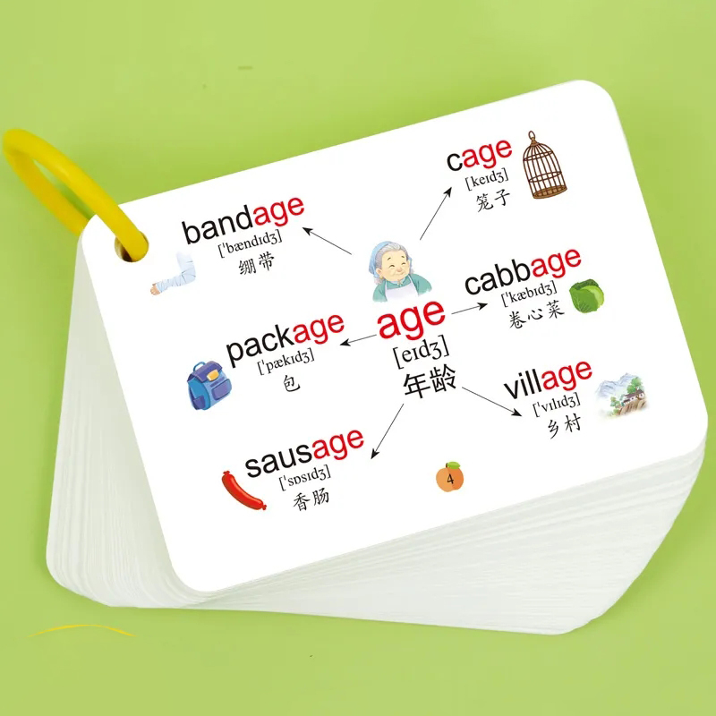 Tarjetas de mapa mental de 600 - Kids Education Card reseña y precio